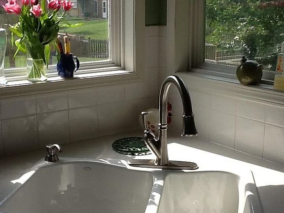 New kitchen sink (2012)