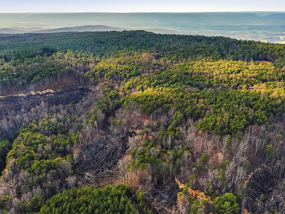 5th image of 2154 Fallen Oak Pass