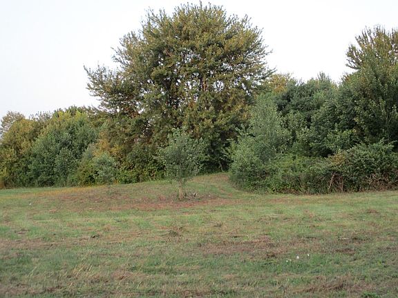 5th image of 6916 State Route 229