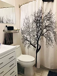 Rented by Steffan Olausson Partridge, LREB