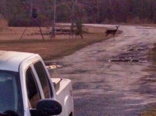 409 Clayton Ln, Ridgeville, SC 29472