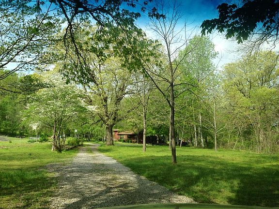 Summer view from road