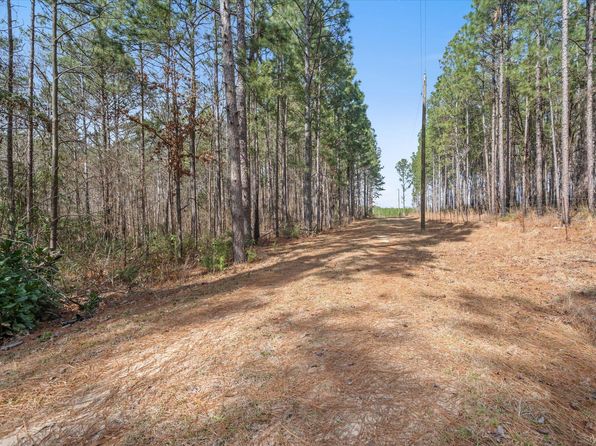 3305 Purvis To Columbia Rd, Lumberton, MS 39455