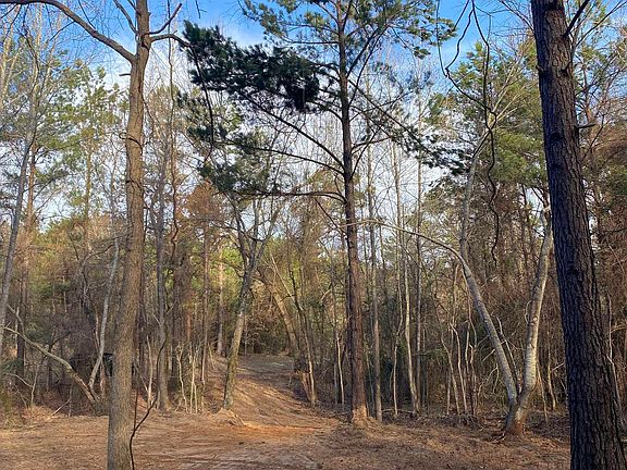 3rd image of TRACT 4 County Road 452