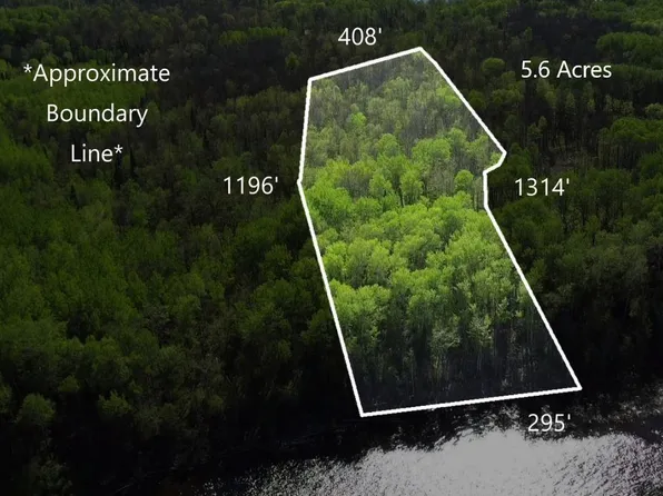 11 Driftwood Ln, Baudette, MN 56623