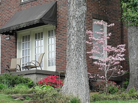 French doors and dogwood