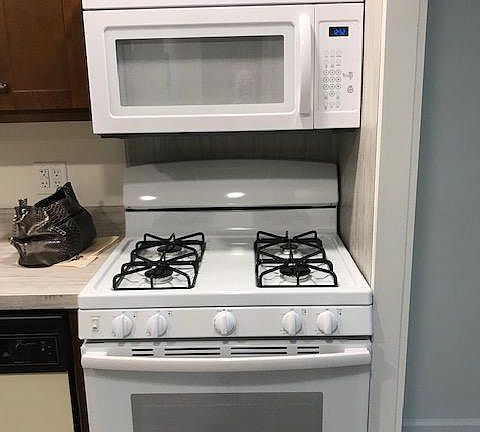 2nd image of 1782 Gasche St #1