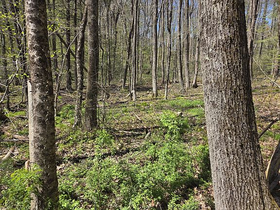 4th image of 0 Union Rd