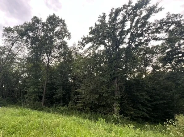 Shagbark Cir, Van Meter, IA 50261