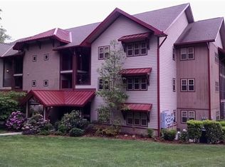 1659 Country Club Dr #D202, Maggie Valley, NC 28751