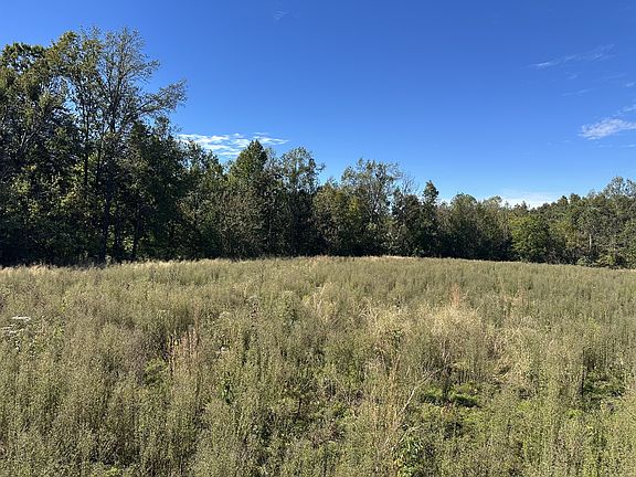 3rd image of 2542 W Mount Vernon Rd Lot 4