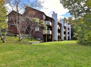 19 Kettlebrook Rd #D5, Ludlow, VT 05149