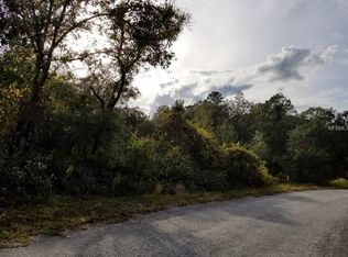 Willoughby Dr, Webster, FL 33597