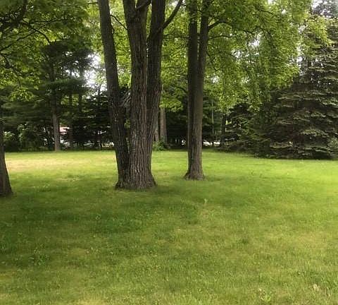 5th image of 6290 Tecumseh Ave