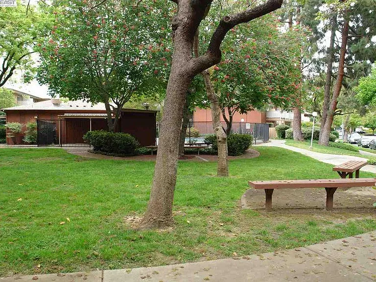 38500 Paseo Padre Pkwy #209 — Photo 21