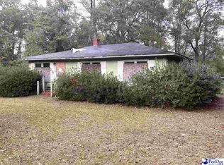 224 Huggins Eaddy St, Johnsonville, SC 29555