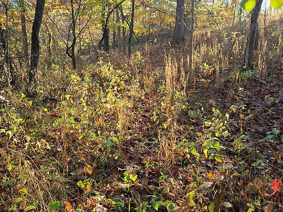 5th image of 8314 County Road 625 E