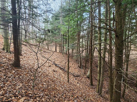3rd image of 0 Wayne Rd