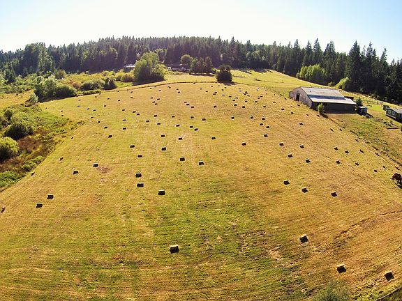 Roughly 200 bales a year