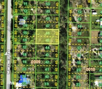 2313 Halibut Ter LOT 45, Punta Gorda, FL, 33983