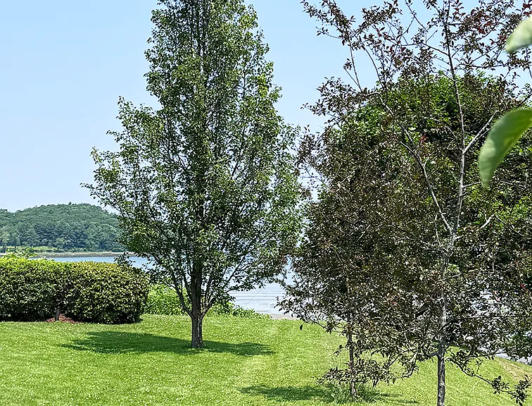 easement/walkway to stairs to the beach