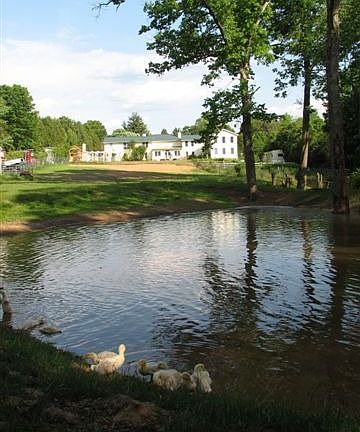 Rear view of the house from the pond