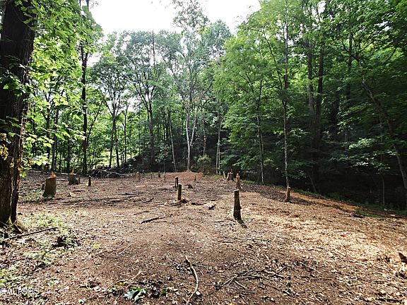 3rd image of 0 Early Rd Lot 2