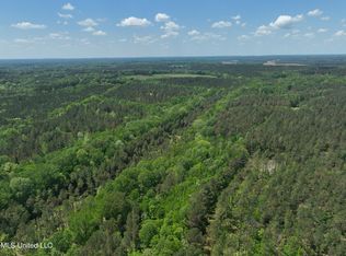 409 Cr, Rienzi, MS 38865