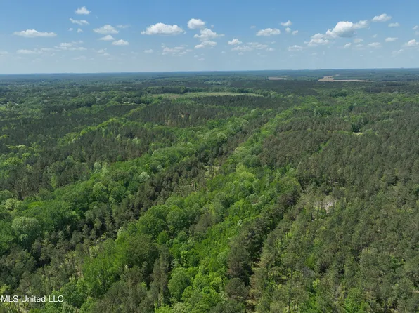 409 Cr, Rienzi, MS 38865