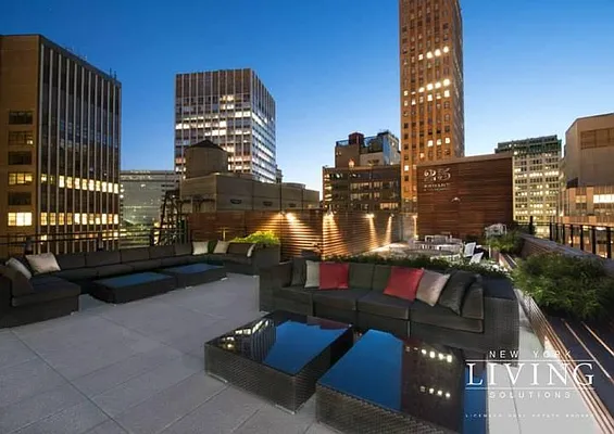 Rented by NY Living Solutions | media 30