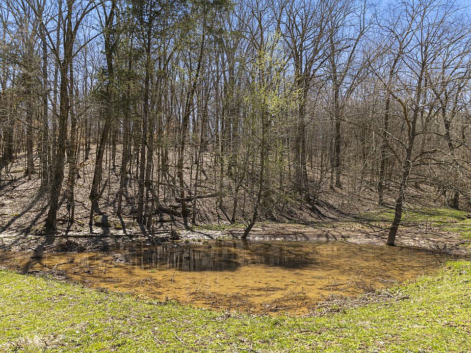 34th image of this home