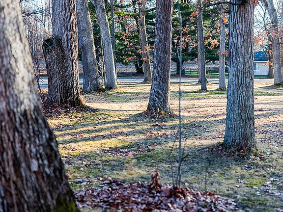 Looking south along road