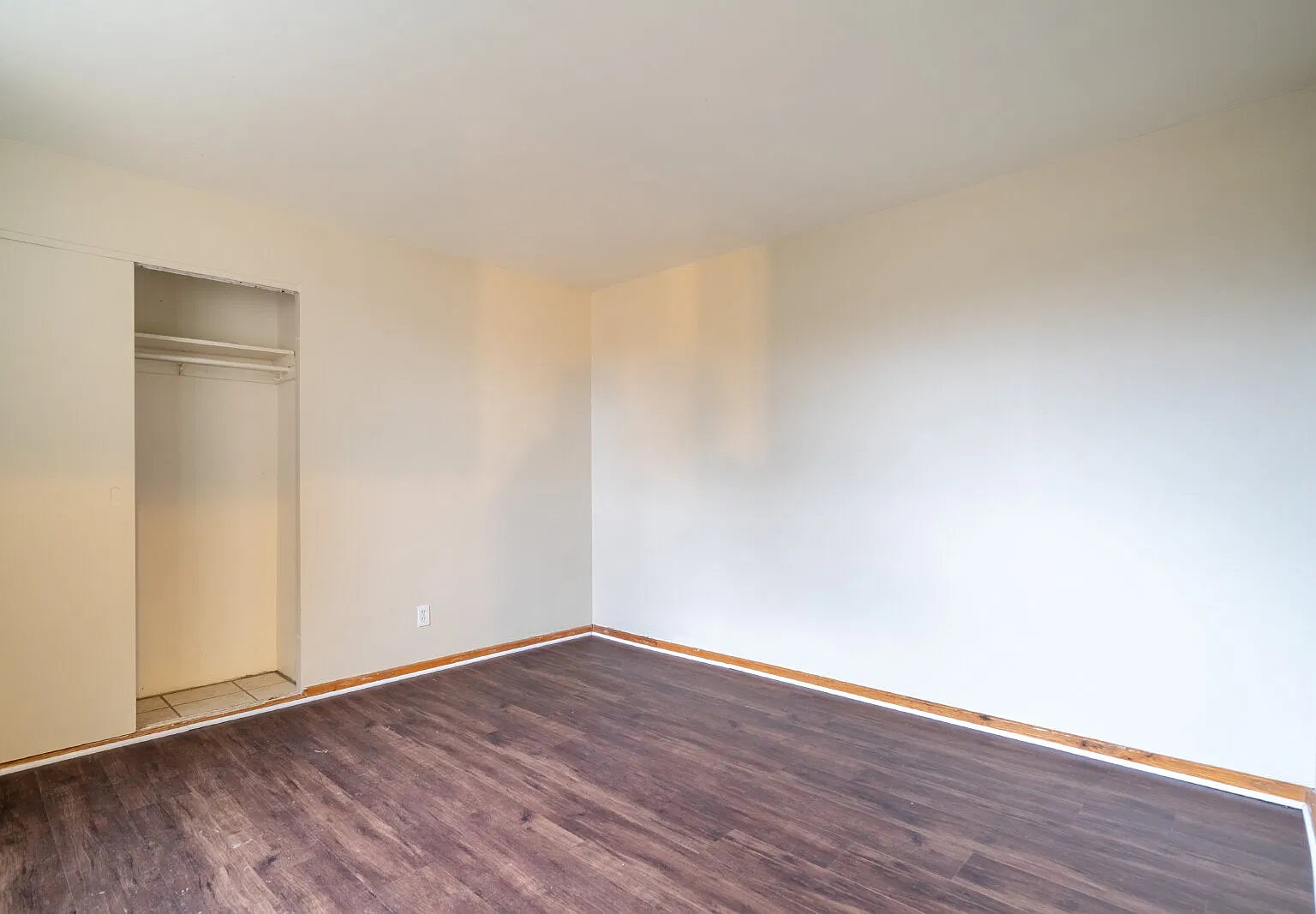 2 bed, 1.0 bath, 725 sqft, $1,250 — Photo 4
