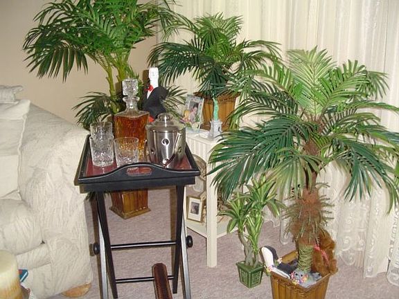 4th image of 2673 Barkley Dr E APT D