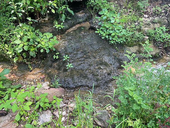 5th image of 000 Grimes Mill Road