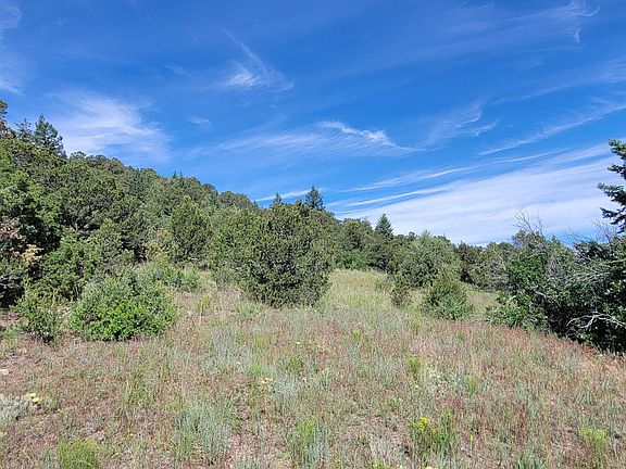 4th image of Palmer Rd