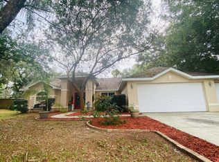 12324 Padron Blvd, Spring Hill, FL 34609