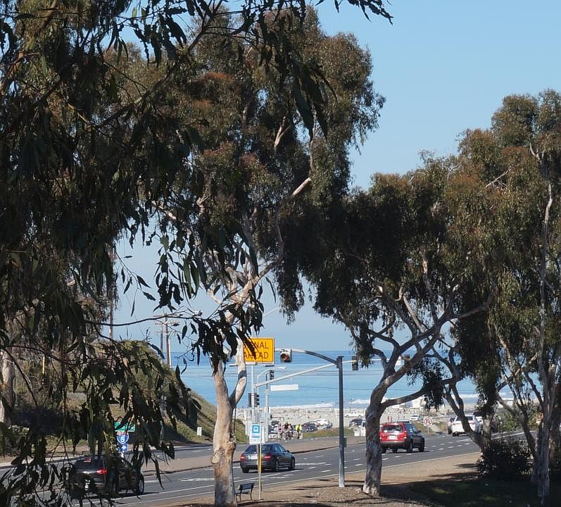 Spectacular views of the beach
