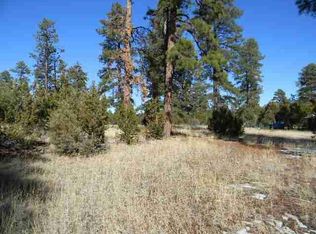 2000 Sunset Trl, Overgaard, AZ 85933