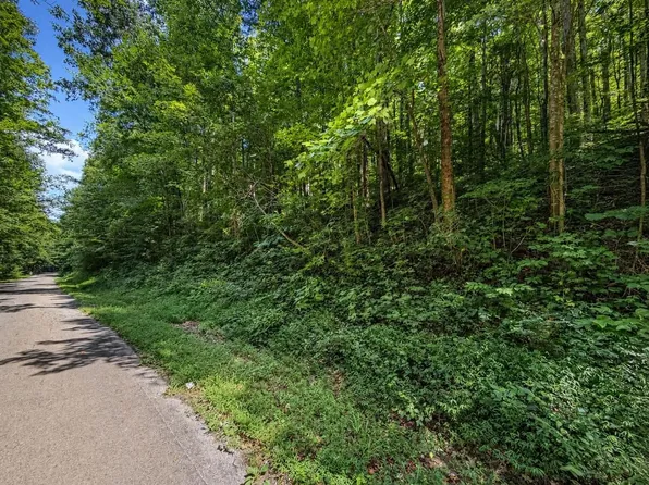 0 Johnson Valley Rd, Philadelphia, TN 37846