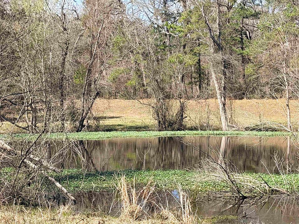 1st image of 919 Pine Valley Rd