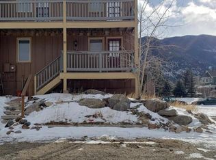 1454 Marion St, Georgetown, CO 80444