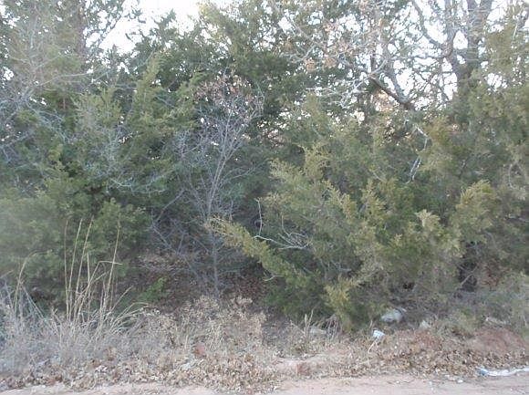1st image of 1900 Hillwood Cir Lot 18