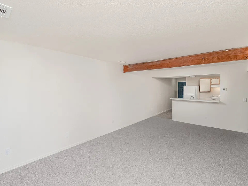 Living Area & Kitchen