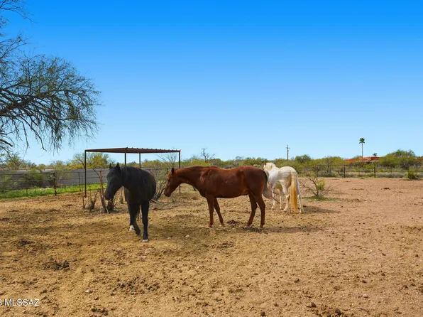 3121 N Conestoga Ave, Tucson, AZ 85749