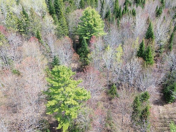 4th image of lot 7 Wilcox Road