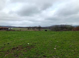 706 Dutch Valley Rd, Edmeston, NY 13335