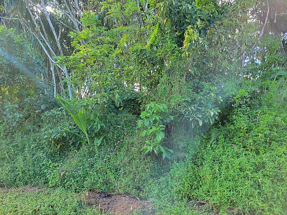 4th image of Puni Lapa Loop S Lot 1770