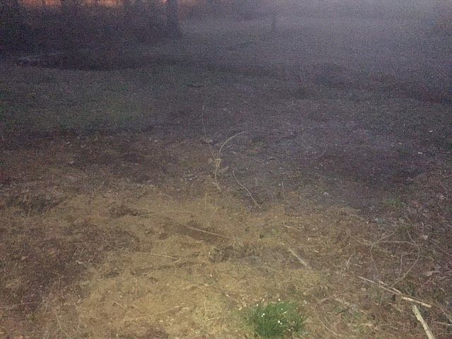 2nd image of 3303 39th Ave