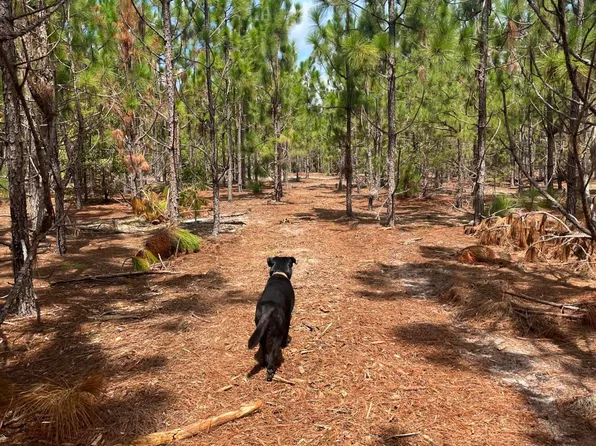 Bff 1b Brunson Teal Rd #Bff-1b, Patrick, SC 29584